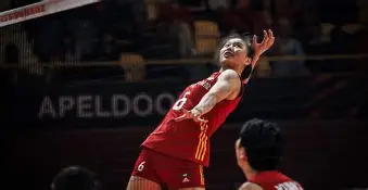 hth体育官方入口-斯图加特遗憾出局中国女排怒砍35分，斯图加特清晨扳平良机都惊呆了的简单介绍